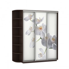 Шкаф-купе «Фотопечать Архидеи»
