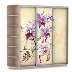 Шкаф-купе Архидеи трехдверный Венге светлое