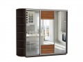 Шкаф-купе комбинированный с зеркалом трехдверный Венге магия