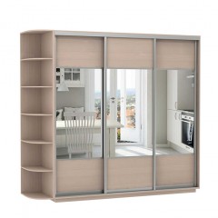 Шкаф-купе комбинированный с зеркалом Венге светлое