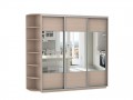 Шкаф-купе комбинированный с зеркалом Венге светлое