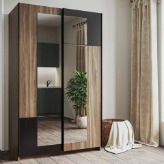 Двух-дверный Шкаф-купе Тамби