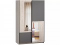 Шкаф-купе с зеркалом Фабио