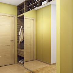 Шкаф-купе Хай