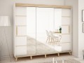 Шкаф-купе в скандинавском стиле Берси