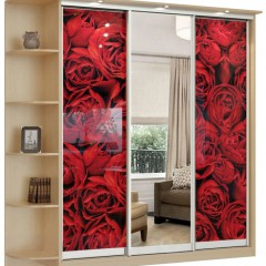 Шкаф-купе Шарм 3