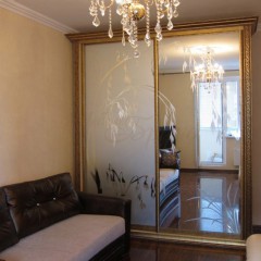 Шкаф-купе Люпен 2