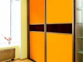 Шкаф-купе цветной Венс