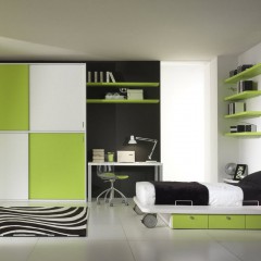 Шкаф-купе Элиан зеленый