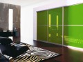 Шкаф-купе Невий зеленый