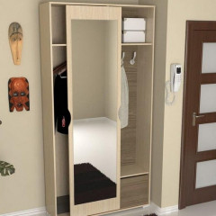 Шкаф-купе одно-дверный Илон