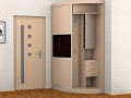 Шкаф-купе одно-дверный Радиусный фасад