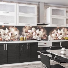 Кухня со стеклом Натале