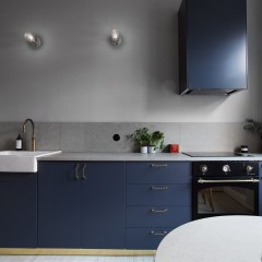 Синяя кухня Райз