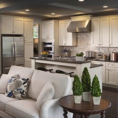 Кухня для кухни-гостиной Армель