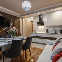 Кухня для кухни-гостиной Клоди