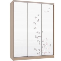 Шкаф-купе с фотопечатью Бассо бабочки