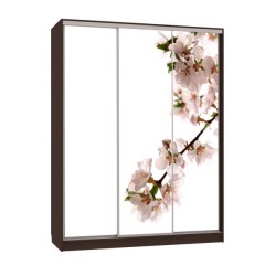 Шкаф-купе с фотопечатью Бассо яблоня