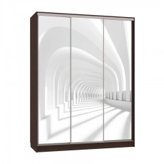 Шкаф-купе с фотопечатью Бассо туннель