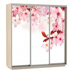 Шкаф-купе с фотопечатью Бассо сакура