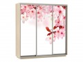 Шкаф-купе с фотопечатью Бассо сакура