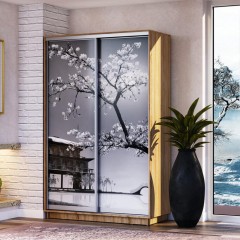 Шкаф-купе с фотопечатью Лео Сакура