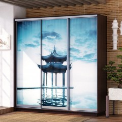 Шкаф-купе с фотопечатью Лео Пайлоу