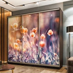 Шкаф-купе с фотопечатью Лео цветы