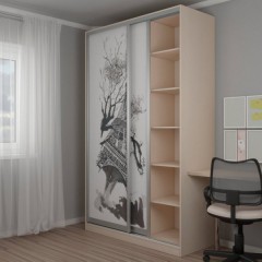 Шкаф-купе для подростка Башня