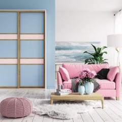 Шкаф-купе Барк встроенный