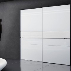 Шкаф-купе Дарио встроенный