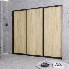 Шкаф-купе Дино встроенный