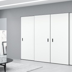 Шкаф-купе Жан встроенный