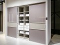 Шкаф-купе Кирино встроенный