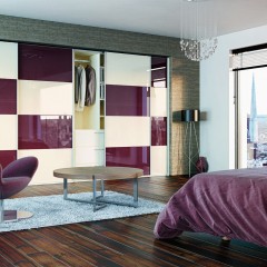 Шкаф-купе Лео оракал встроенный