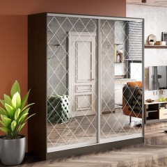 Шкаф-купе Ливио пескоструй корпусный