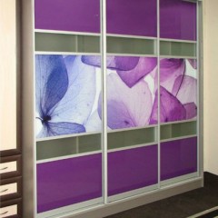 Шкаф-купе Цветы фиолетового цвета