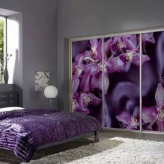 Шкаф-купе Кайл фиолетового цвета