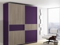 Шкаф-купе Ларри фиолетового цвета