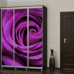 Шкаф-купе Роза фиолетового цвета