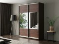 Шкаф-купе Арий коричневый