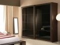 Шкаф-купе Стекло темное коричневый