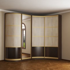 Шкаф-купе угловой Ираида