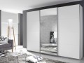 Шкаф-купе прямой Амадео