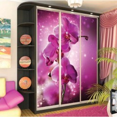 Шкаф-купе Орхидея фотопечать цвет фуксия