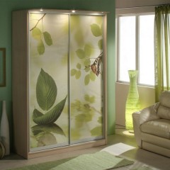 Шкаф-купе оливковый Ренато