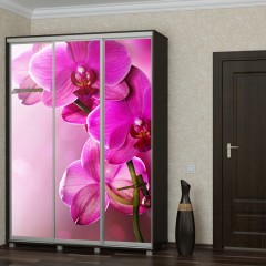 Шкаф-купе фуксия Орхидея 2