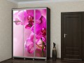 Шкаф-купе фуксия Орхидея 2