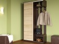 Шкаф-купе одно-дверный Элтон