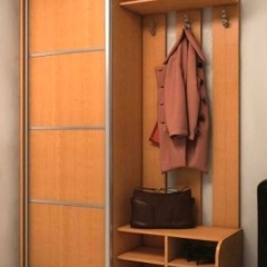 Шкаф-купе одно-дверный Кларк